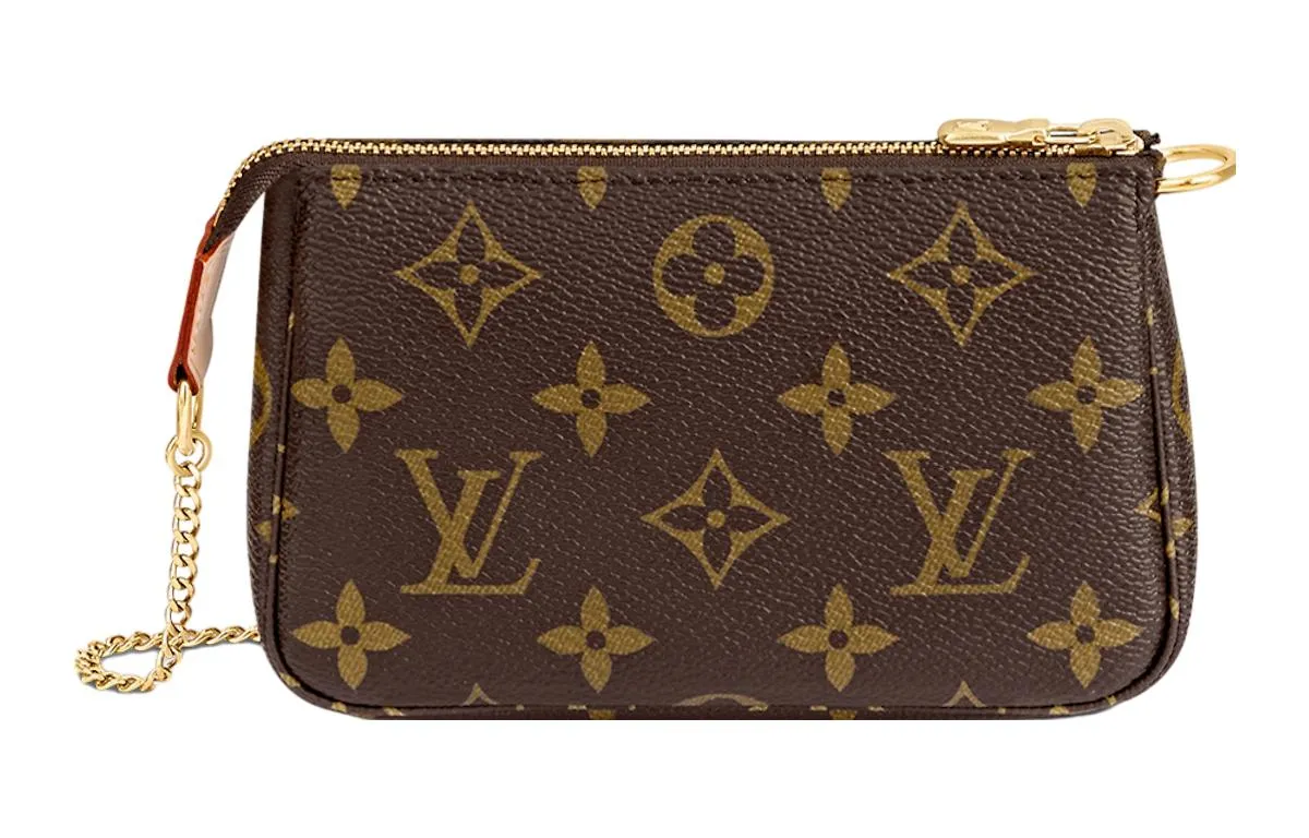 Louis Vuitton Pochette Accessoires Monogram Mini Bag, brown