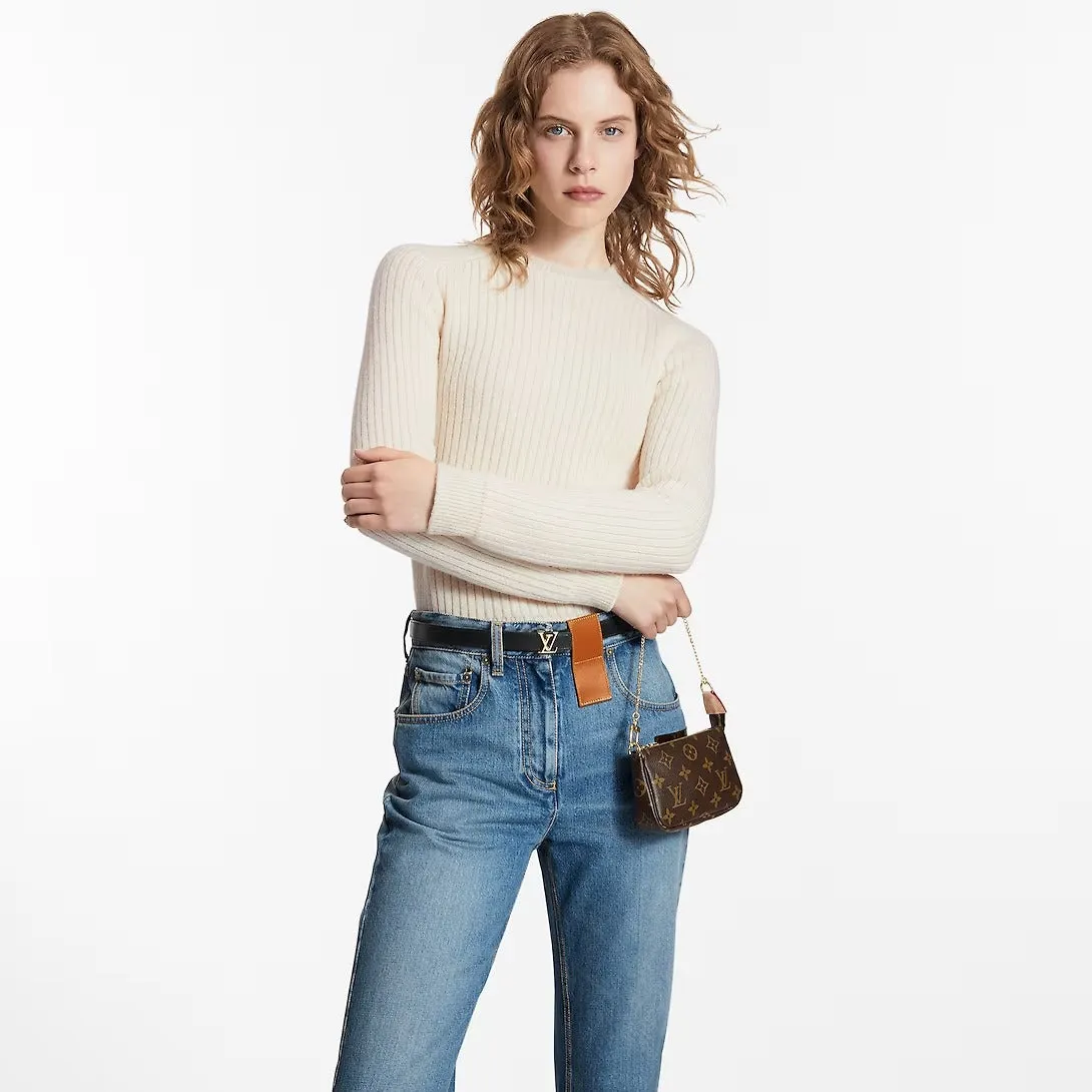 Louis Vuitton Pochette Accessoires Monogram Mini Bag, brown