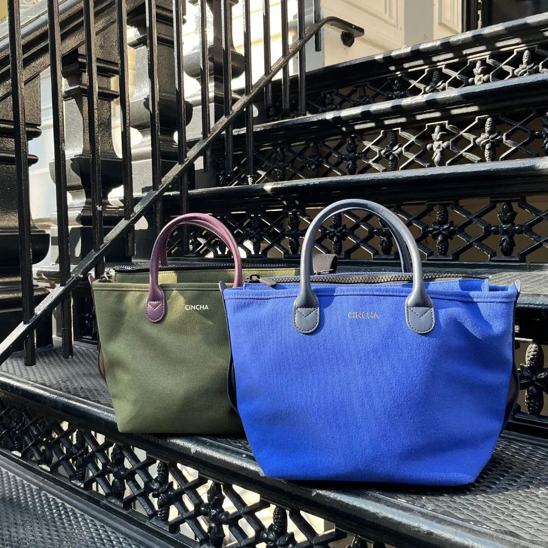 The Mini Canvas Go-Tote // Rio